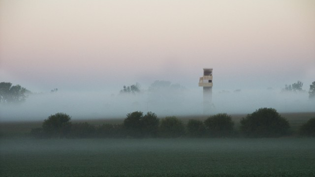 View of the Wild