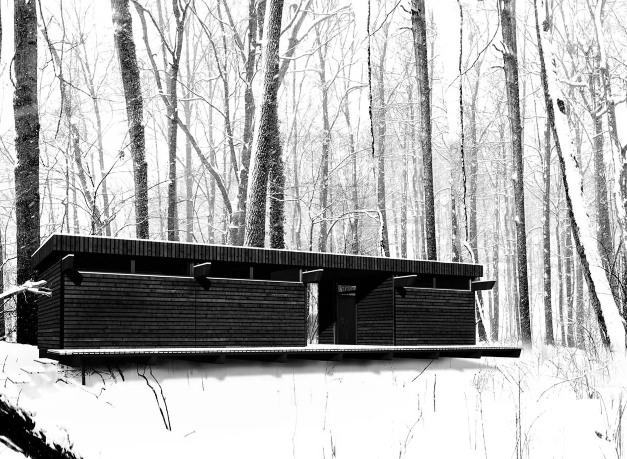 Wood Wood House